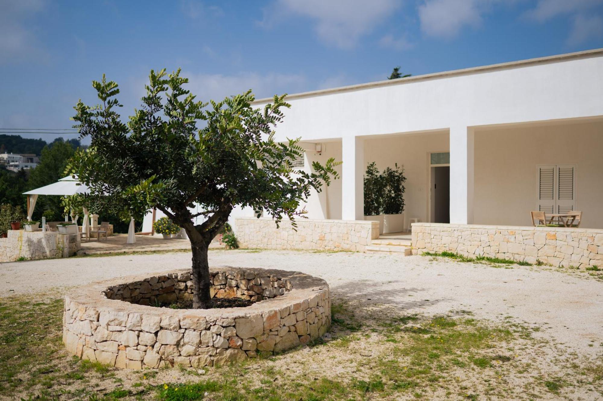 Trulli Magda Villa Martina Franca Dış mekan fotoğraf