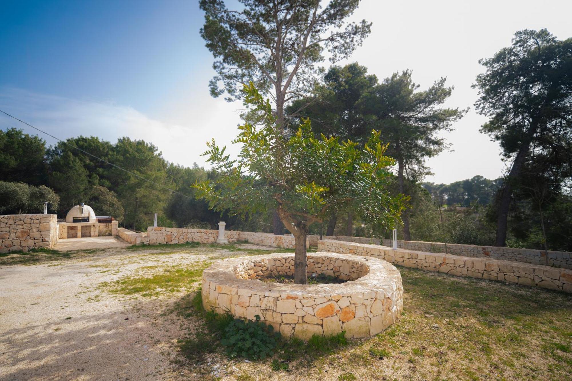 Trulli Magda Villa Martina Franca Dış mekan fotoğraf