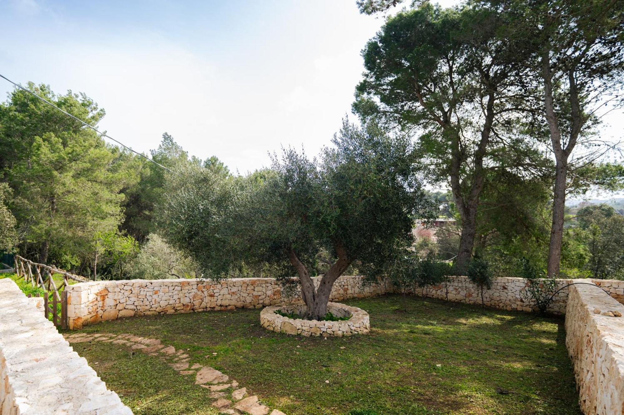 Trulli Magda Villa Martina Franca Dış mekan fotoğraf