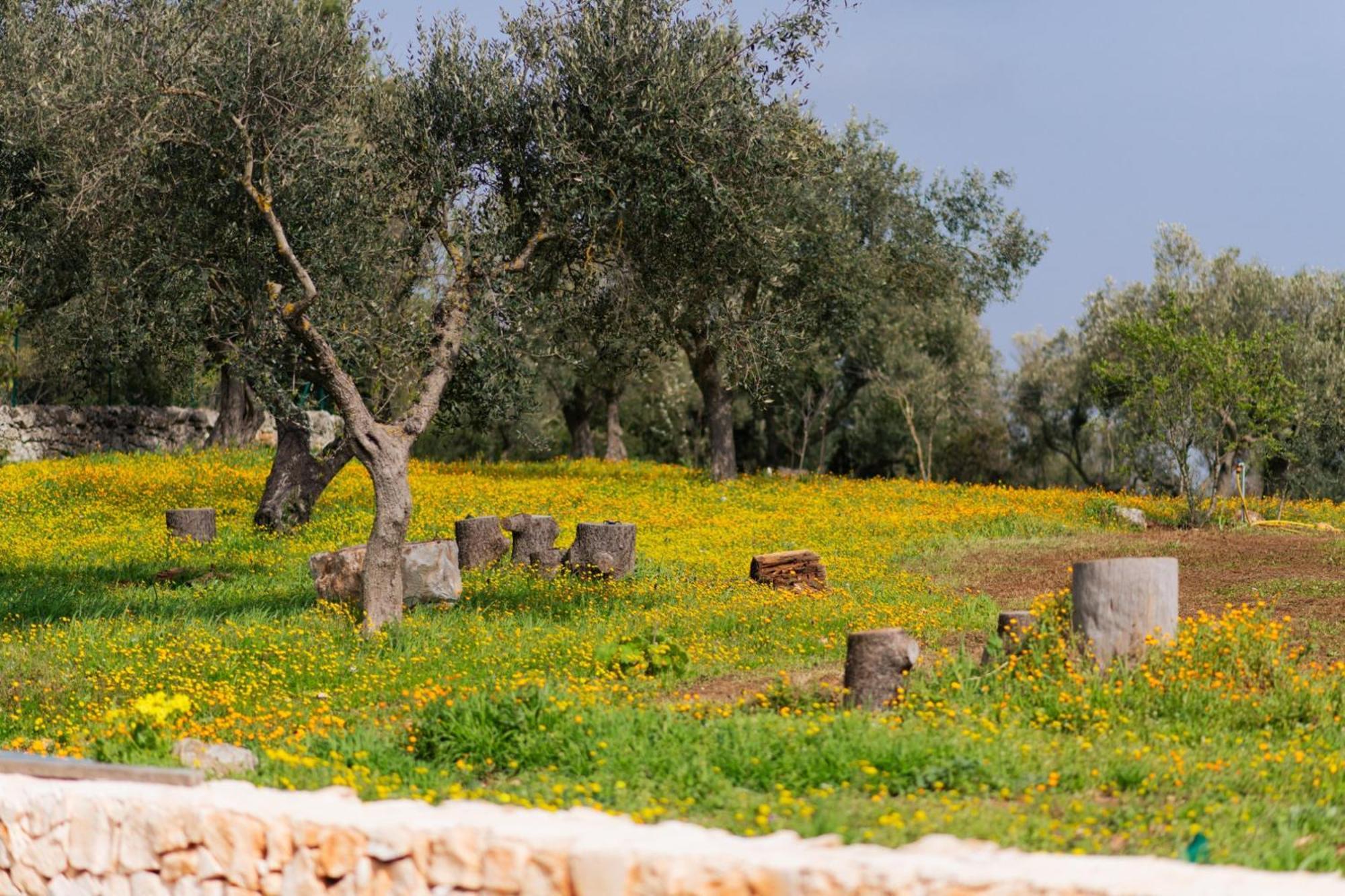 Trulli Magda Villa Martina Franca Dış mekan fotoğraf